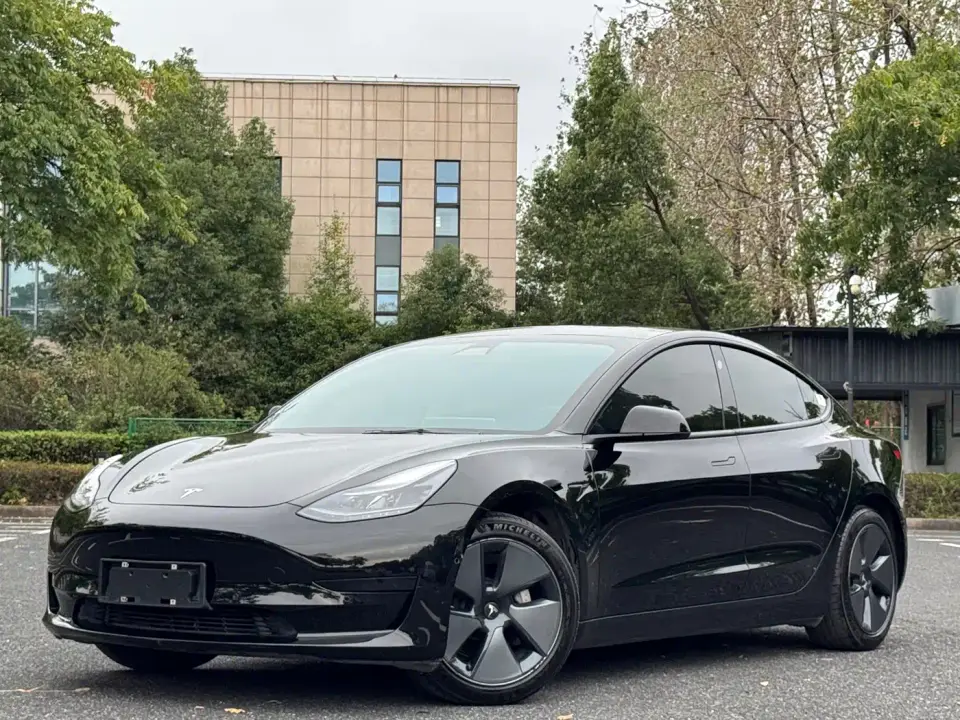 Tesla Model 3 Standard Range Rear-Wheel Drive Upgrade 3D6 2021