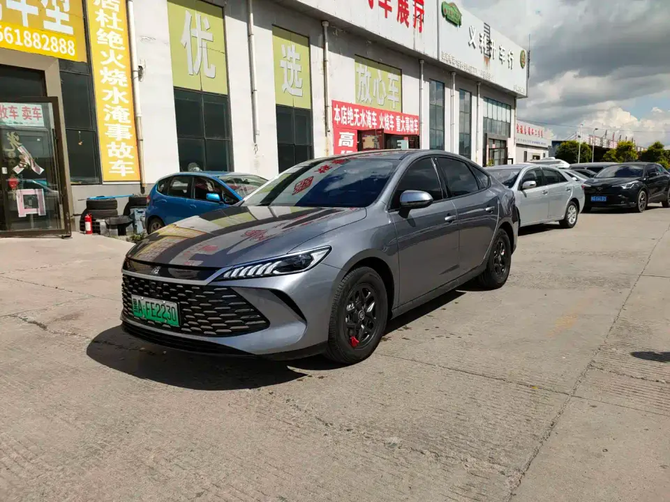 BYD Qin PLUS DM-i Smart Drive 55KM Leader 2025