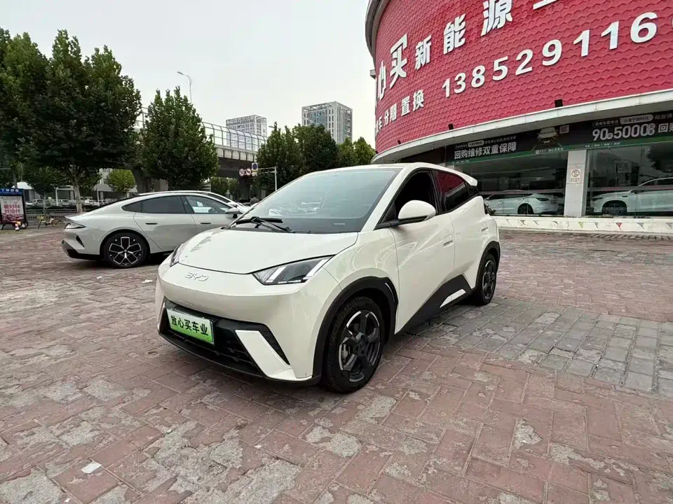 BYD Seagull Freedom Edition 2024