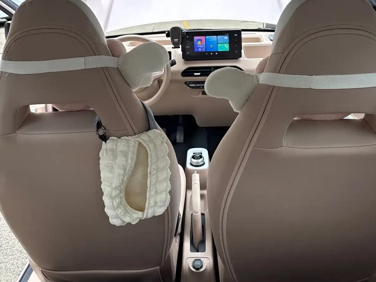 Geely Galaxy Panda Panda Mini 200km Lively Bear 2023 — фото 20