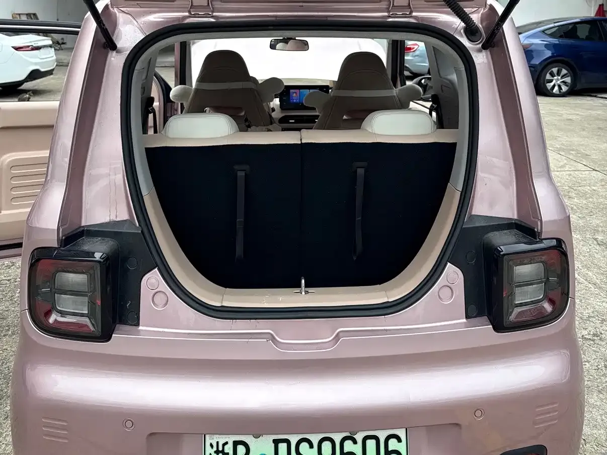 Geely Galaxy Panda Panda Mini 200km Lively Bear 2023 — фото 21