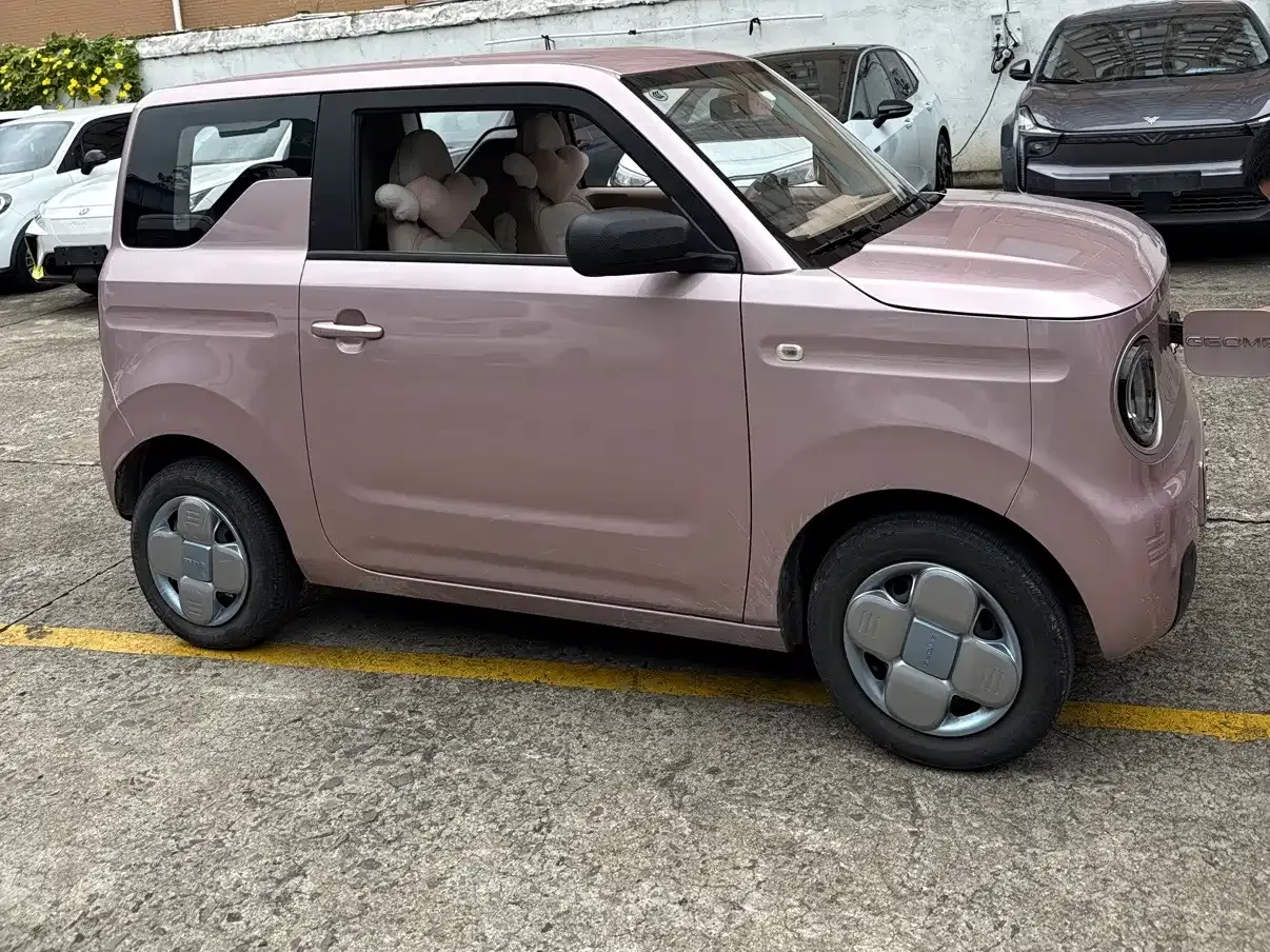 Geely Galaxy Panda Panda Mini 200km Lively Bear 2023 — фото 3