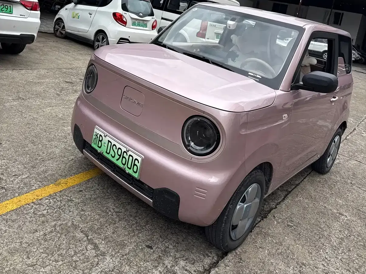 Geely Galaxy Panda Panda Mini 200km Lively Bear 2023