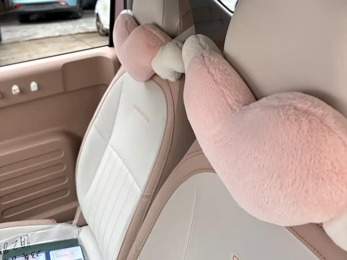 Geely Galaxy Panda Panda Mini 200km Lively Bear 2023 — фото 10