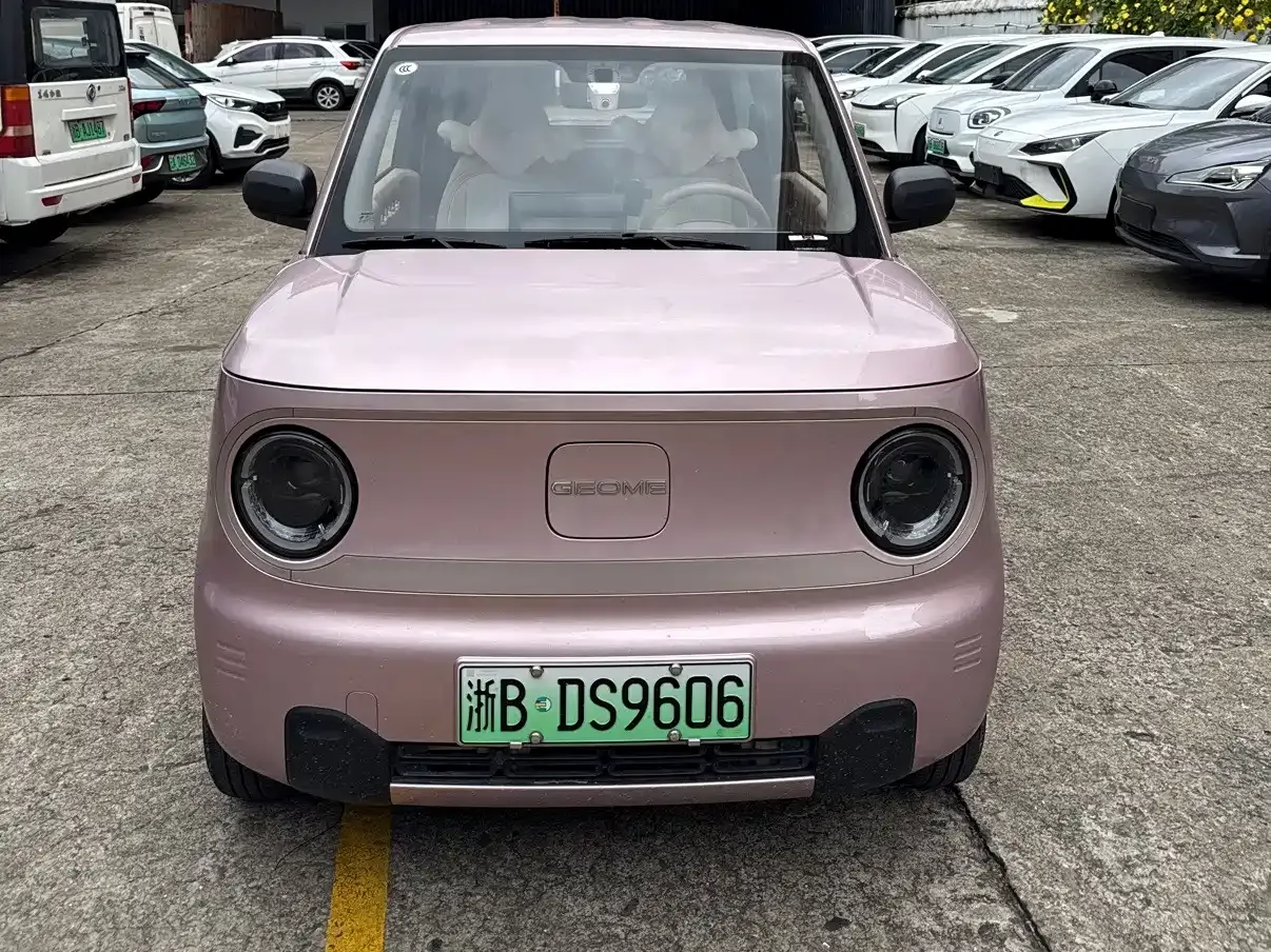 Geely Galaxy Panda Panda Mini 200km Lively Bear 2023 — фото 2