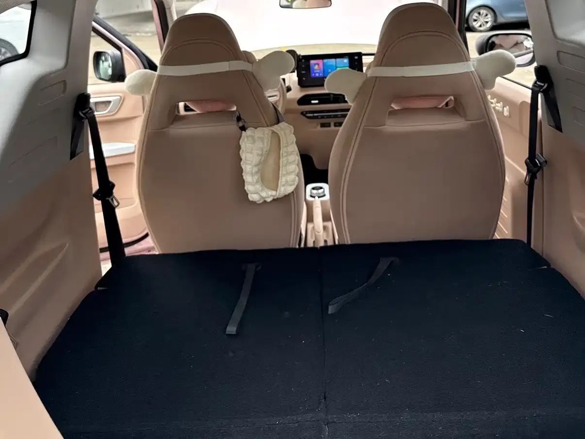 Geely Galaxy Panda Panda Mini 200km Lively Bear 2023 — фото 18
