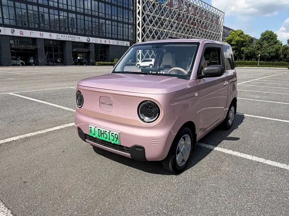 Geely Galaxy Panda Panda Mini 200km Endurance Bear 2024