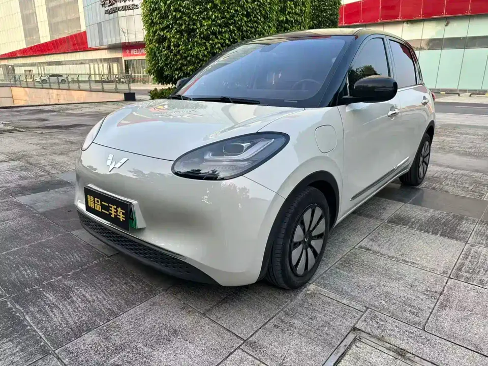 Wuling Motors Wuling Bingo 410km Lingxi Premium Edition 2024