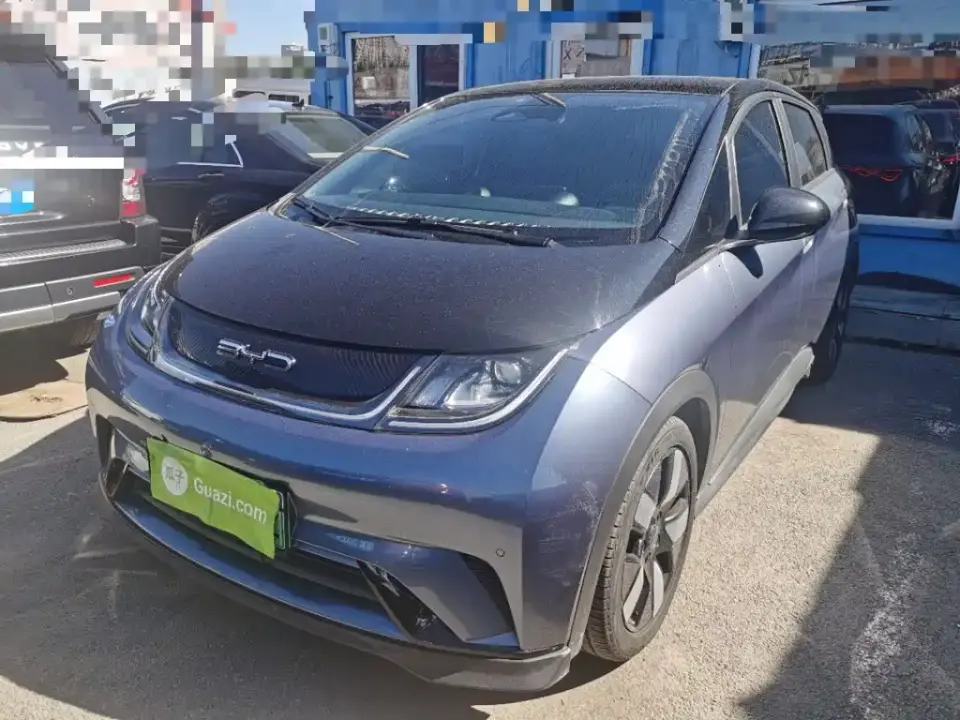 BYD Dolphin 401km Knight Edition 2023