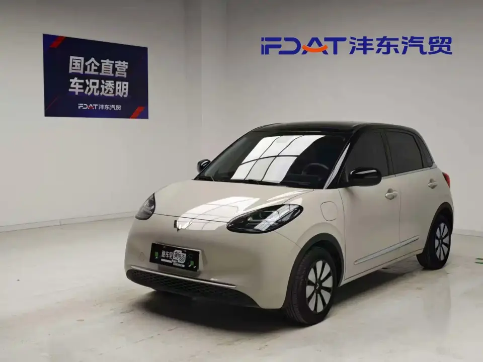Wuling Motors Wuling Bingo 410km Lingxi Premium Edition 2024