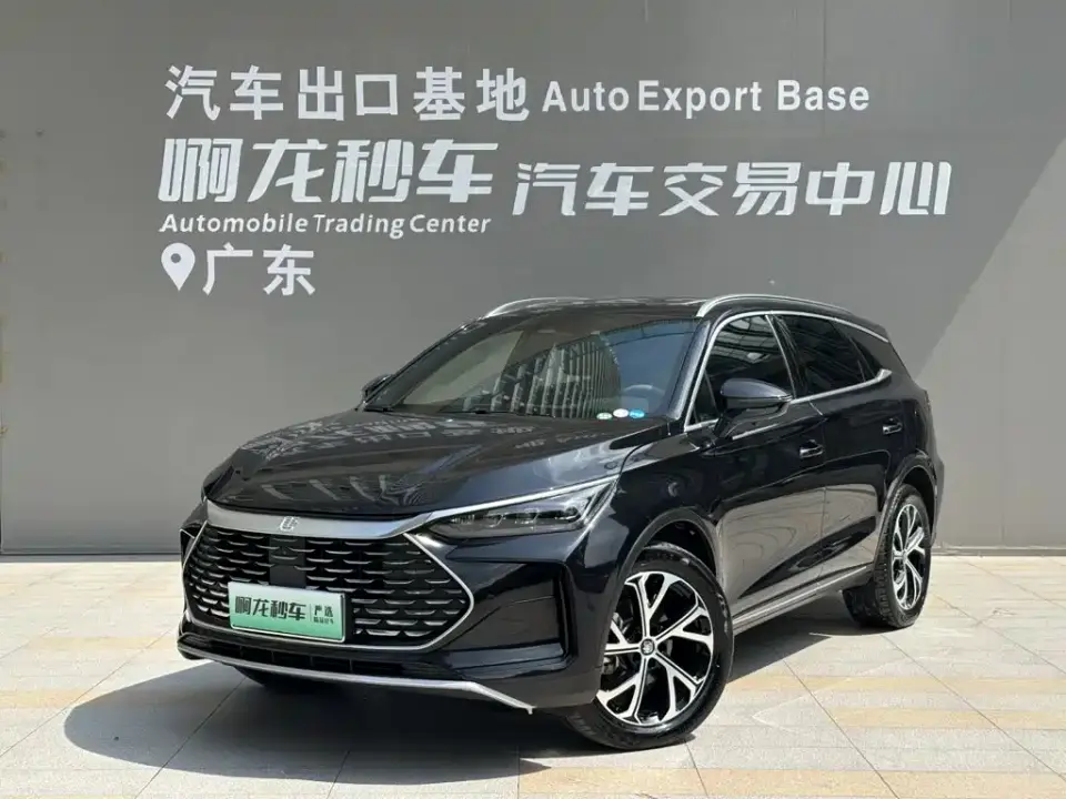 BYD Tang New Energy DM-i 115KM Flagship 2024