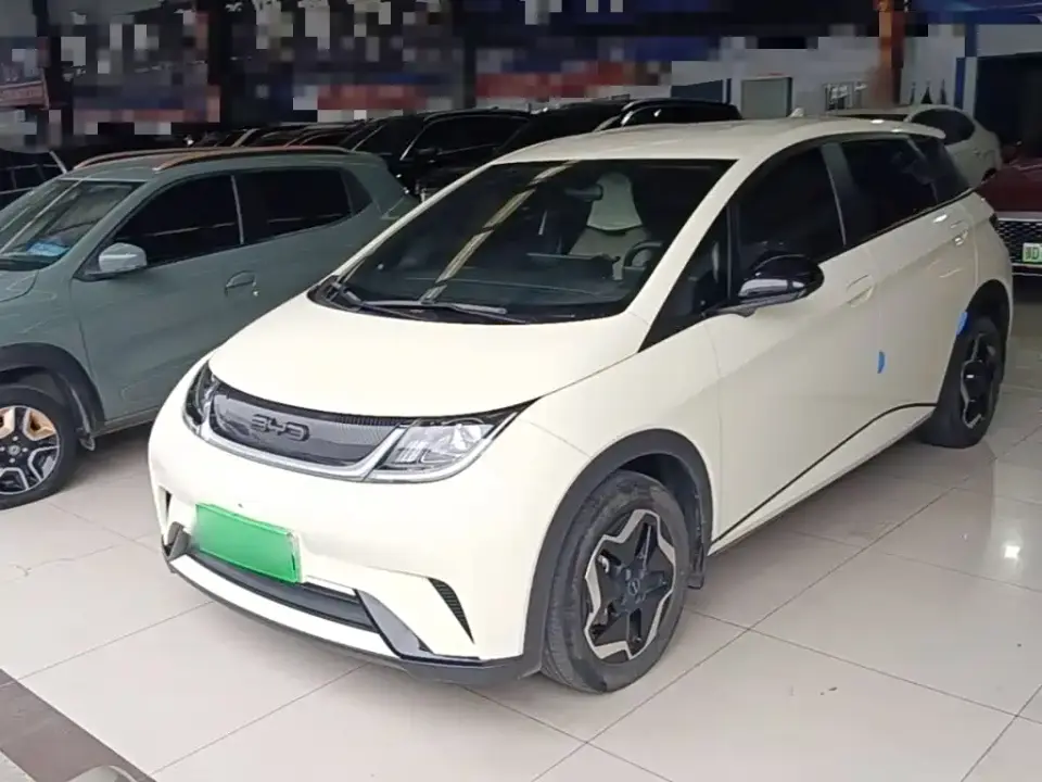 BYD Dolphin 405km Freedom Edition 2022