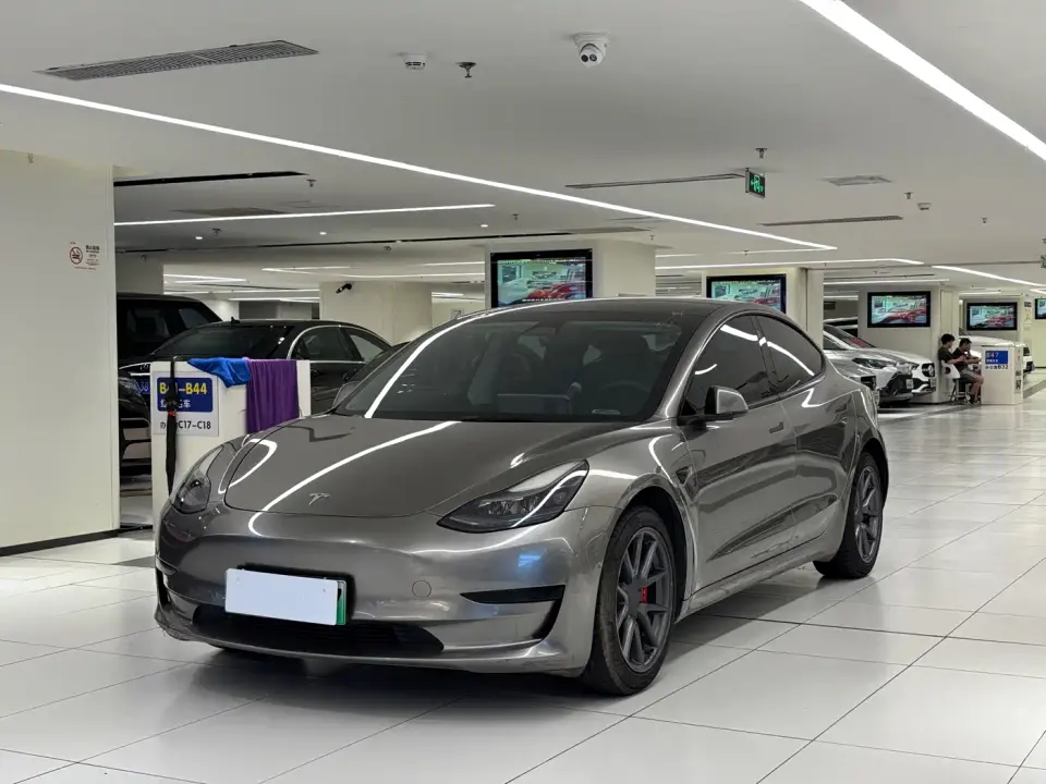 Tesla Model 3 Model Rear-Wheel Drive Version 2022
