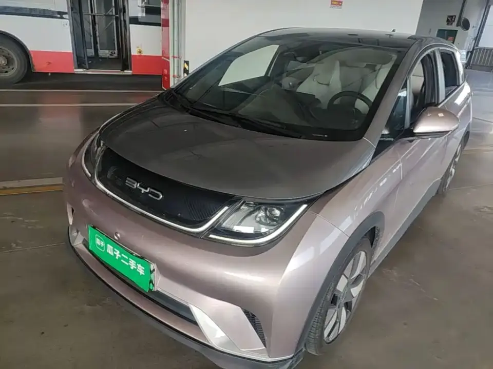 BYD Dolphin 401km Knight Edition 2021