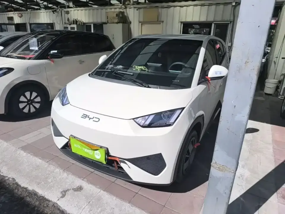 BYD Seagull Smart Drive Edition 305km Vitality Version 2026