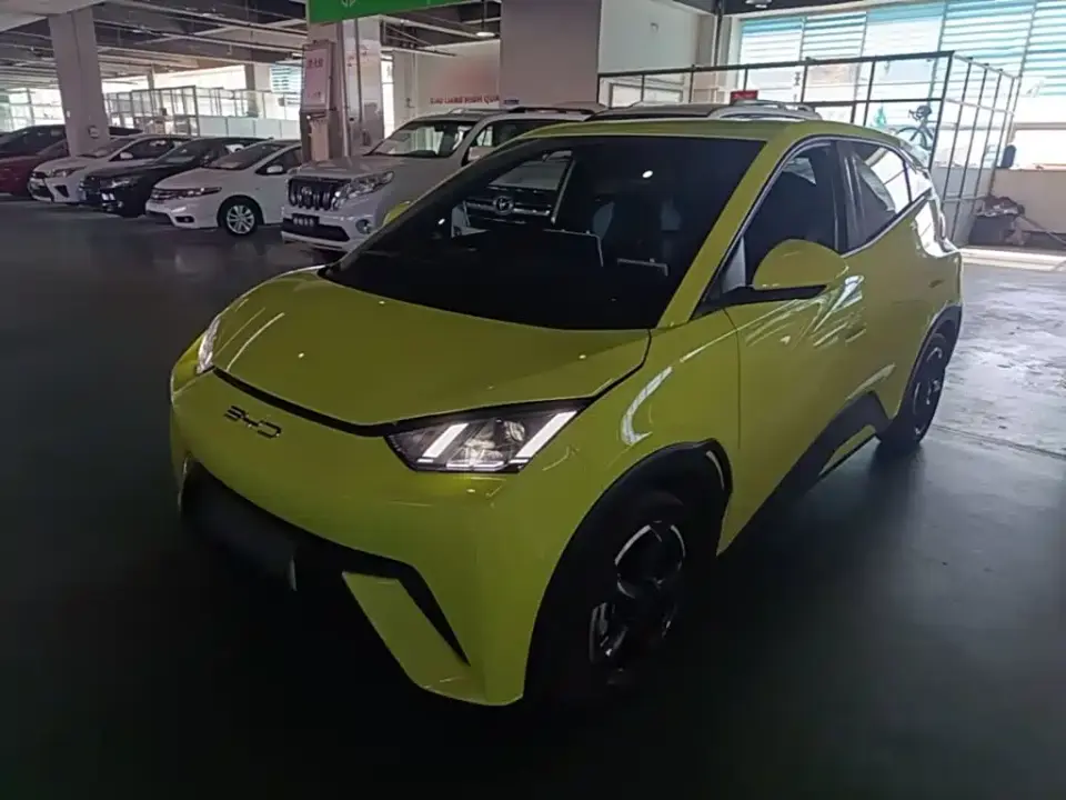 BYD Seagull Freedom Edition 2024