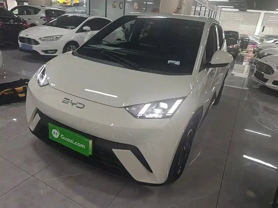 BYD Seagull Glory Edition 305km Freedom Edition 2024