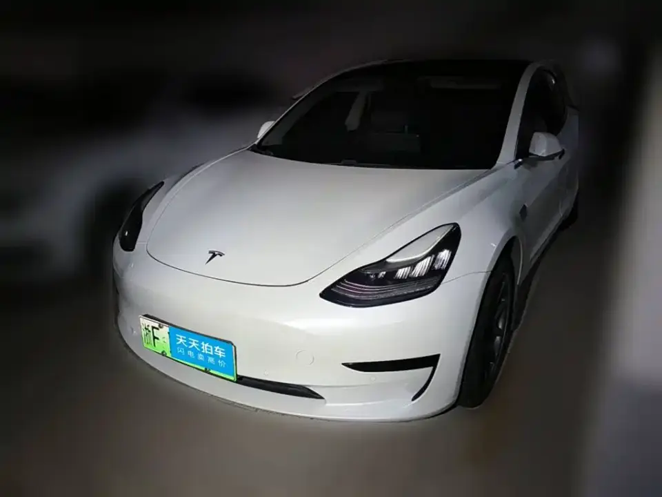 Tesla Model 3 (Import) Standard Range RWD Upgraded Edition 2019
