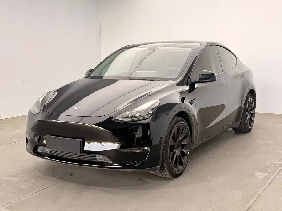 Tesla Model Y Long Range All-Wheel Drive 3D7 2021