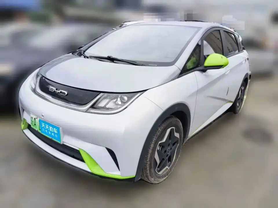 BYD Dolphin 405km Freedom Edition 2021