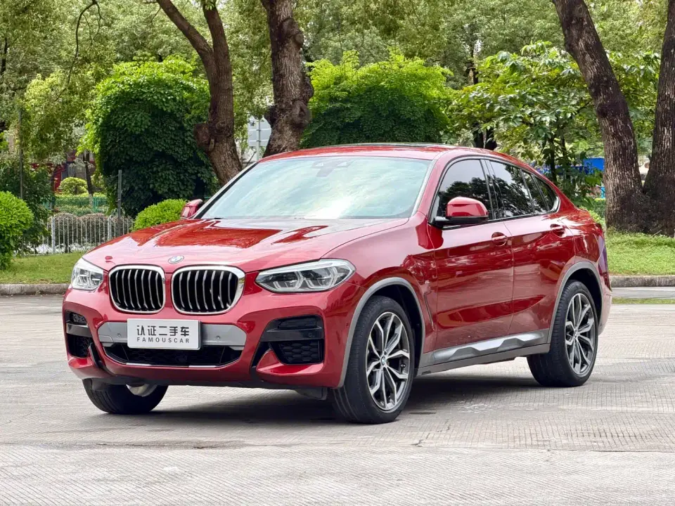 BMW X4 xDrive25i M Off-Road Package 2019