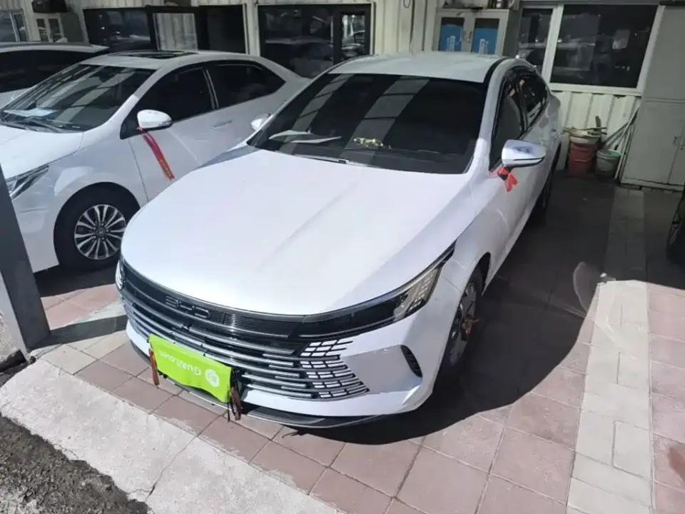 BYD Destroyer 05 Glory Edition DM-i 55KM Luxury 2024