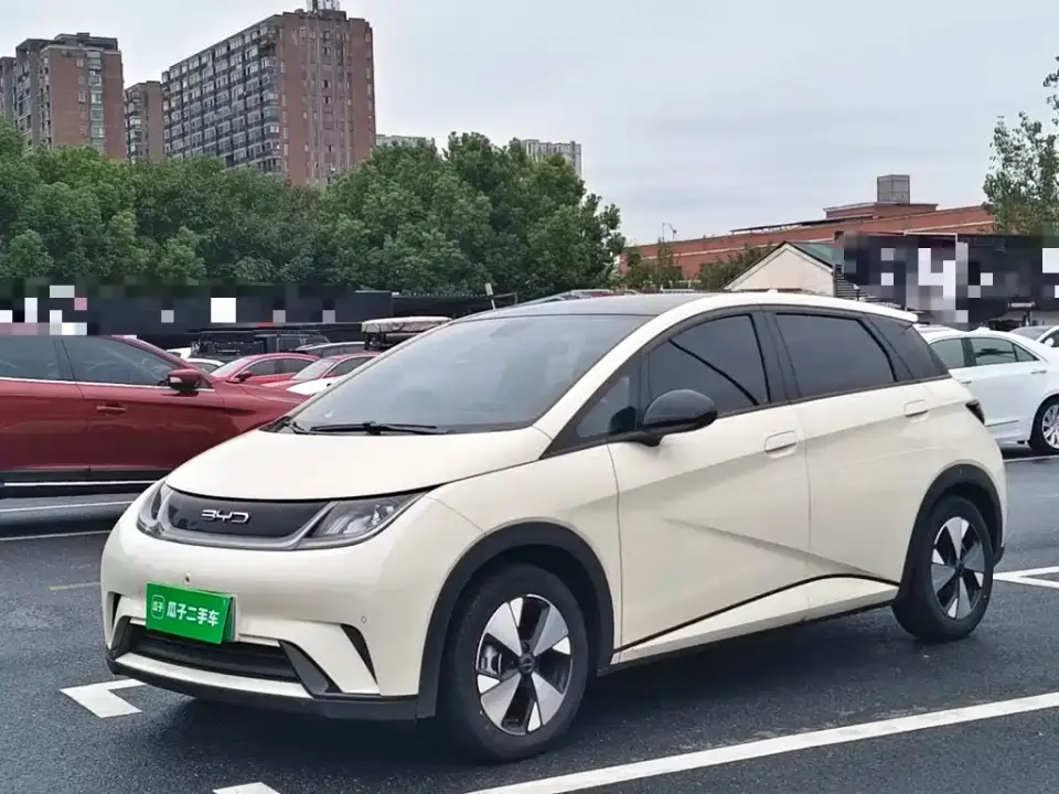 BYD Dolphin 420km Fashion Edition 2024