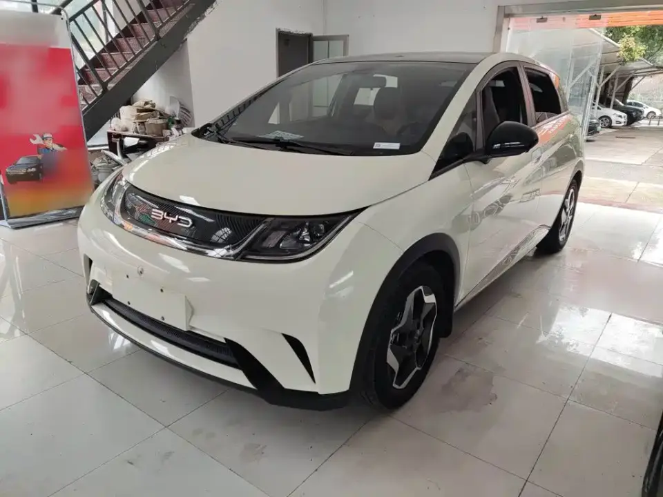 BYD Dolphin Model 405km Fashion Edition 2022