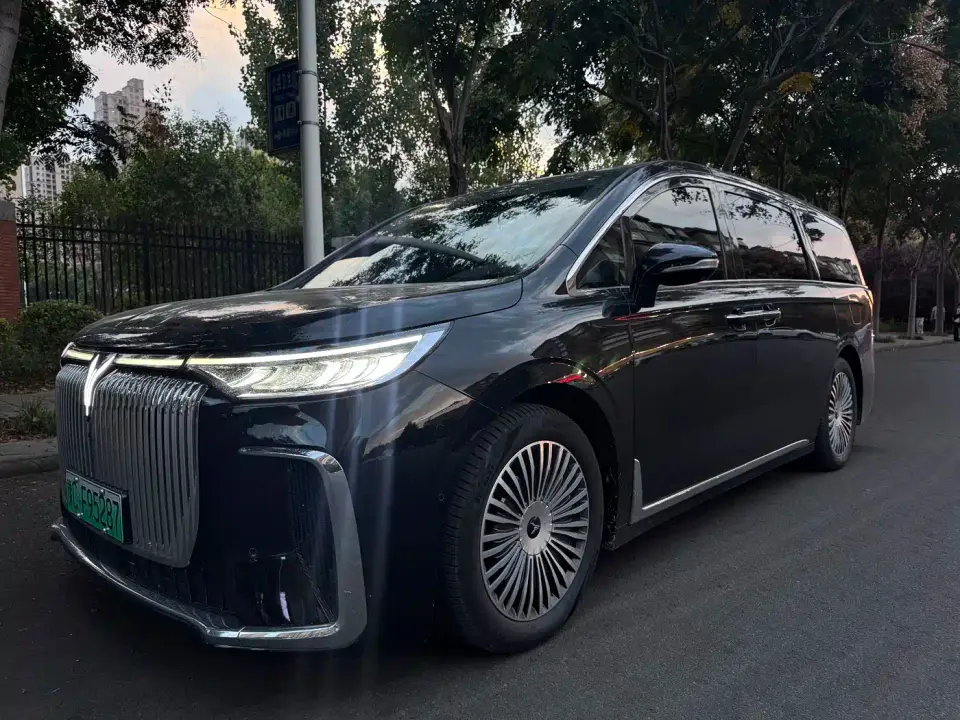 Voyah Auto Voyah Dreamer PHEV 4WD Kunpeng Premium Edition 2025
