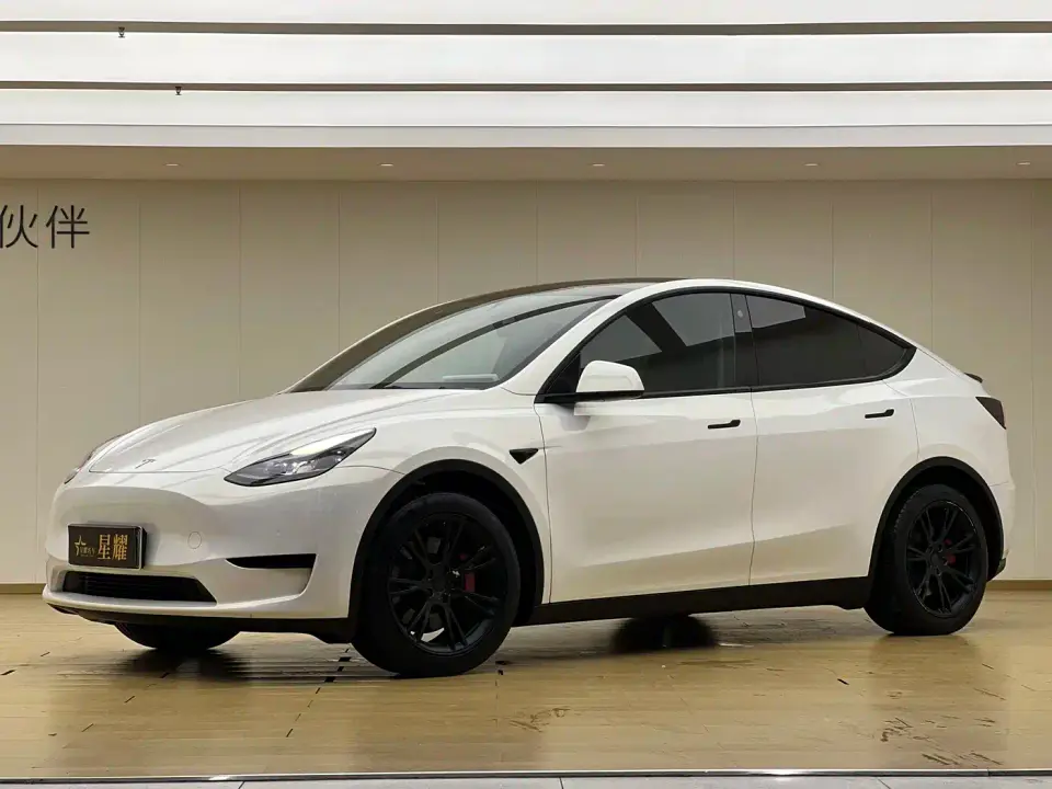 Tesla Model Y Rear-Wheel Drive Version 2022