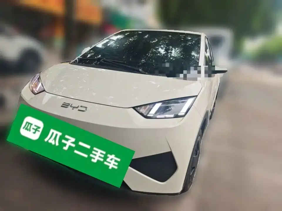 BYD Seagull Smart Drive Edition 305km Vitality Version 2025