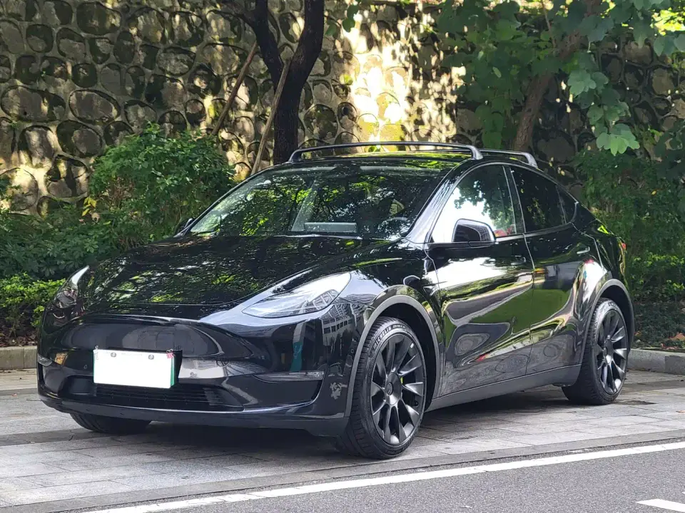 Tesla Model Y Long Range All-Wheel Drive 3D7 2021