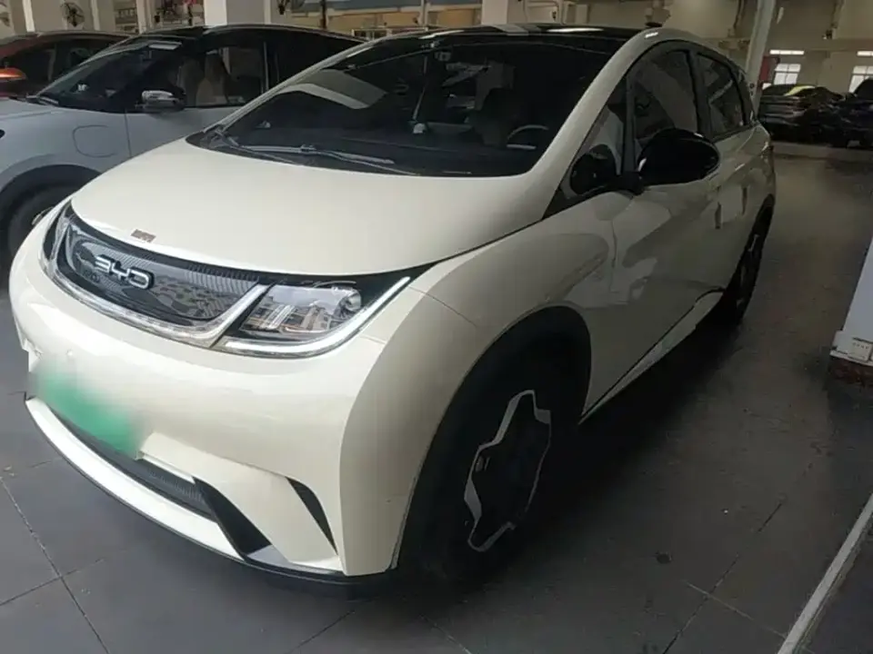 BYD Dolphin Model 405km Fashion Edition 2023