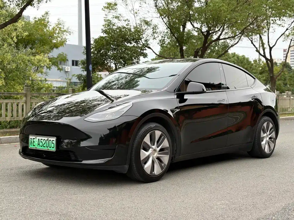 Tesla Model Y Rear-Wheel Drive Version 2022