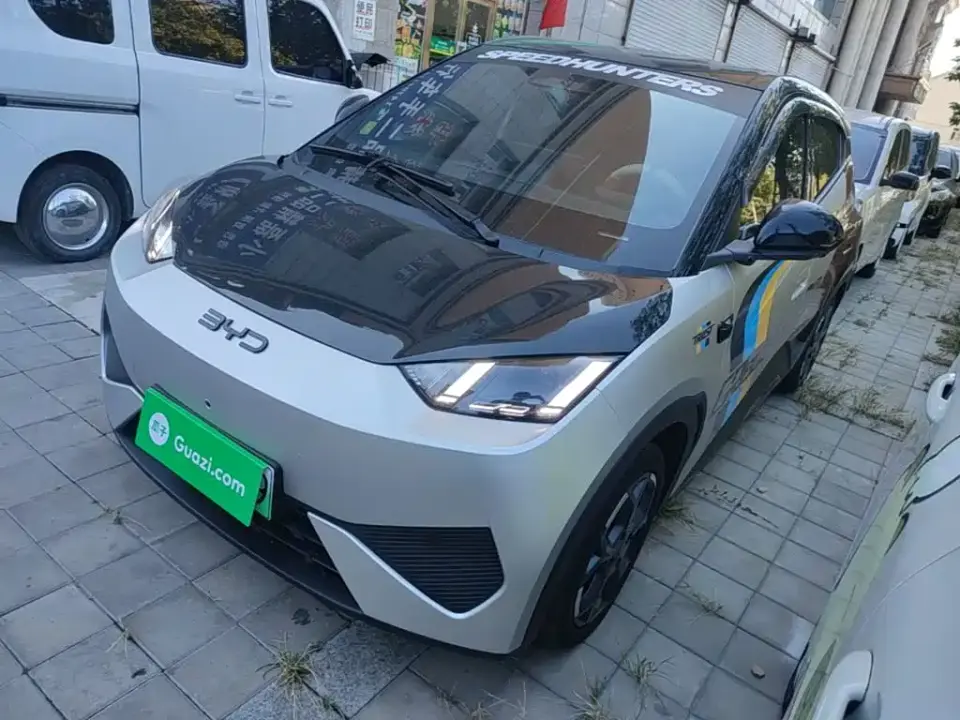 BYD Seagull Smart Drive Edition 305km Freedom Version 2025