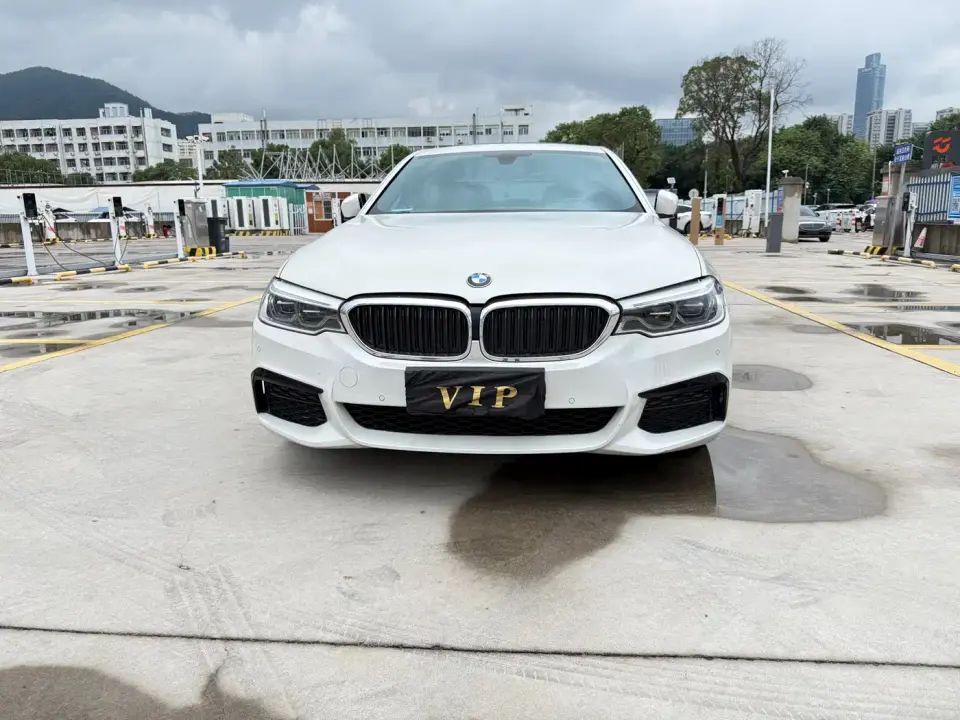 BMW 5 Series 530Li Leading M Sport Package 2020