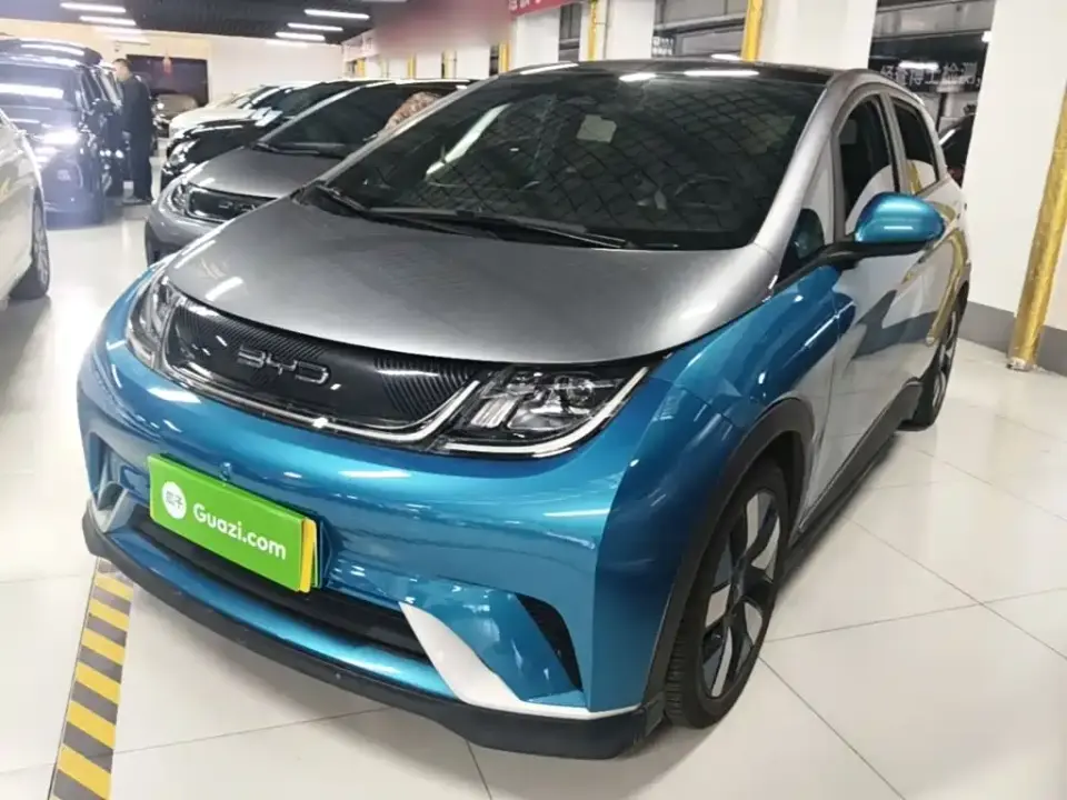 BYD Dolphin 401km Knight Edition 2022