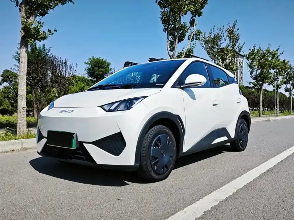 BYD Seagull Smart Drive Edition 305km Vitality Version 2025