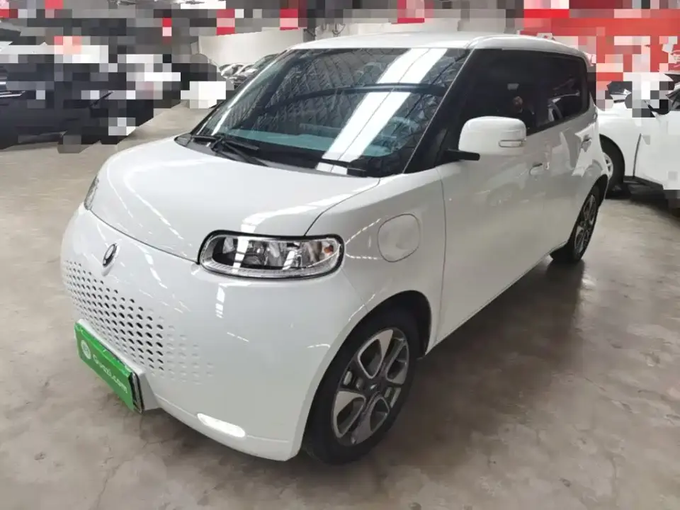 ORA White Cat 305km Luxury 2021
