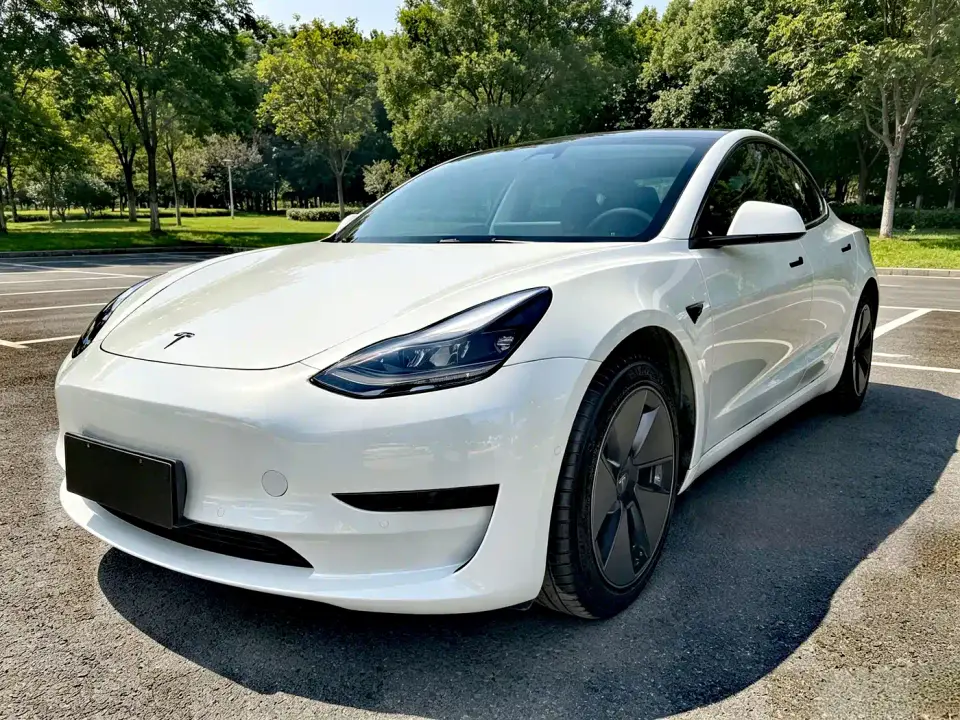Tesla Model 3 Model Rear-Wheel Drive Version 2023