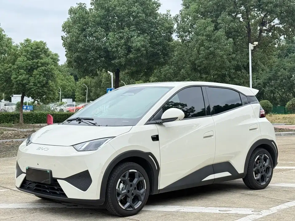 BYD Seagull Smart Drive Edition 305km Freedom Version 2025