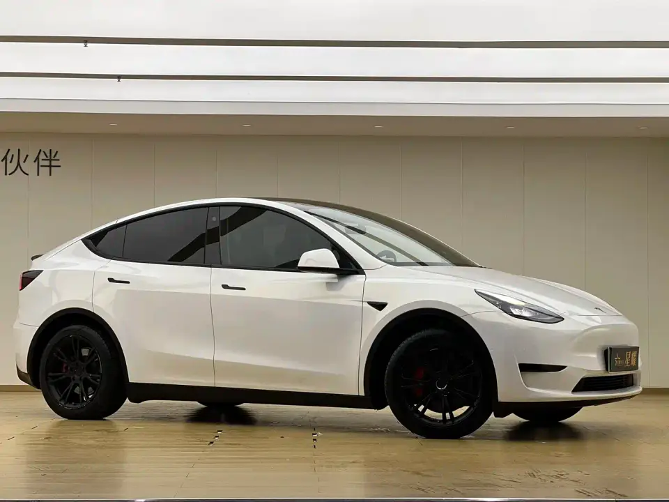 Tesla Model Y Rear-Wheel Drive Version 2022
