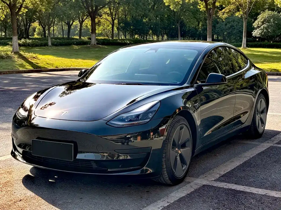 Tesla Model 3 Model Rear-Wheel Drive Version 2022