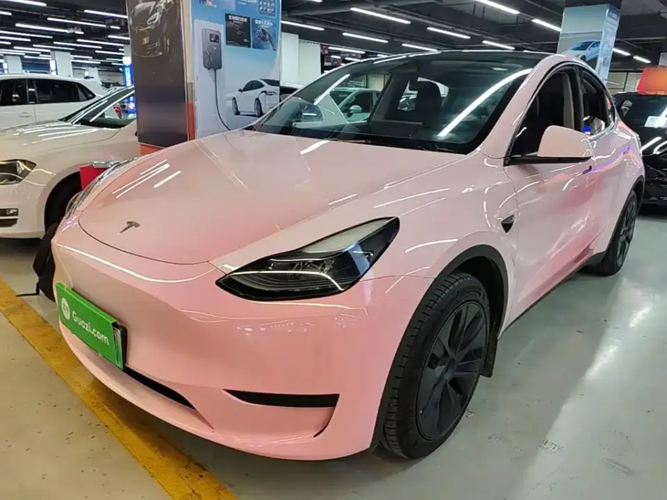 Tesla Model Y Rear-Wheel Drive Version 2024