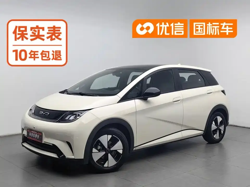 BYD Dolphin 420km Fashion Edition 2023