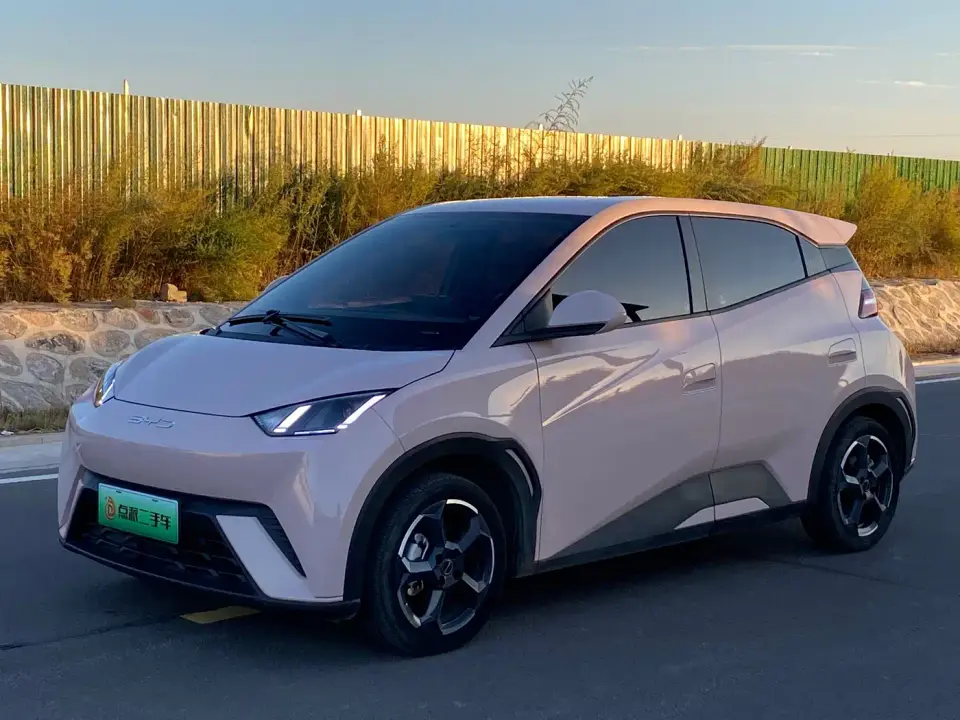 BYD Seagull Freedom Edition 2024