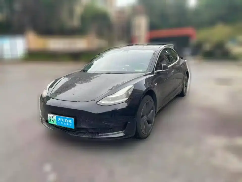 Tesla Model 3 Standard Range Rear-Wheel Drive Upgrade 2020