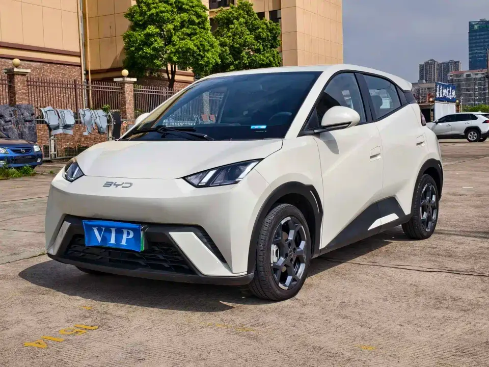 BYD Seagull 305km Freedom 2024