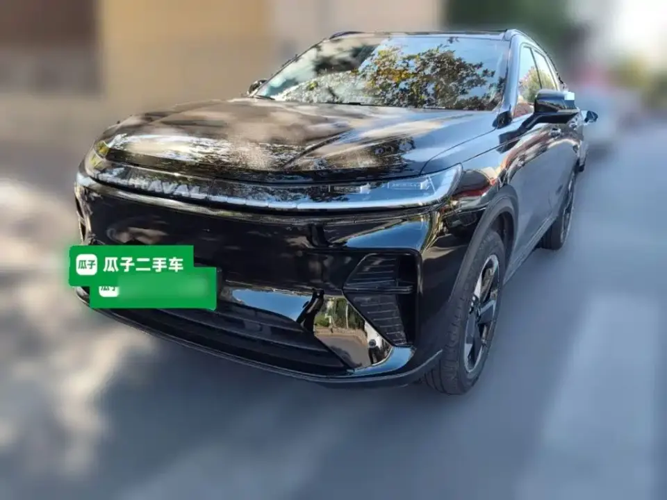 Haval Xiaolong MAX Hi4 110 Pro 2025