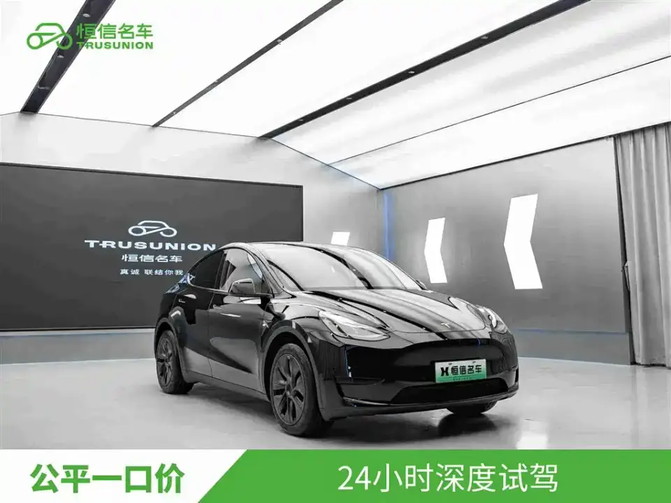 Tesla Model Y Rear-Wheel Drive Edition 2024